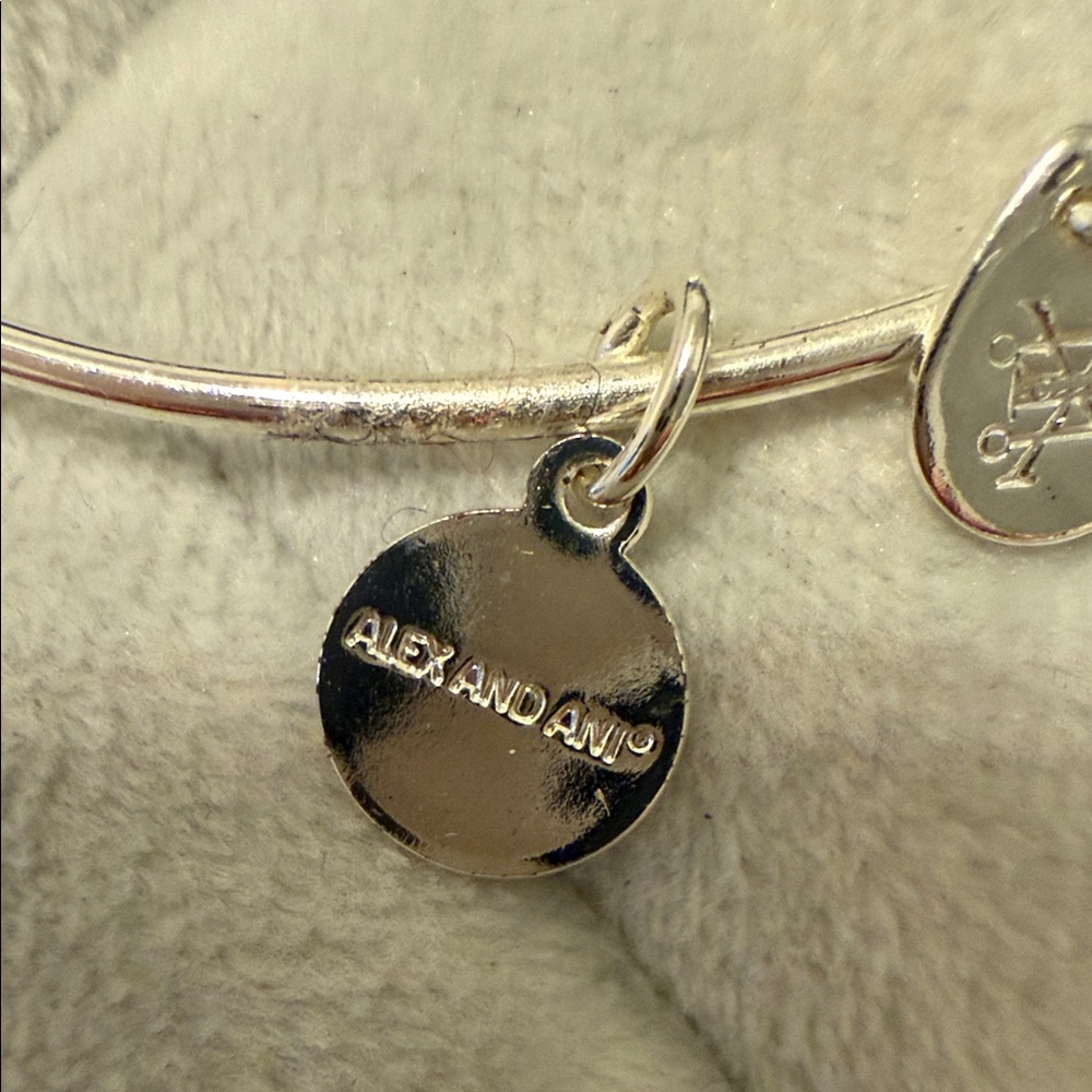 Alex and Ani Silver and Green Charm Bracelet Duo - Picture 3 of 6